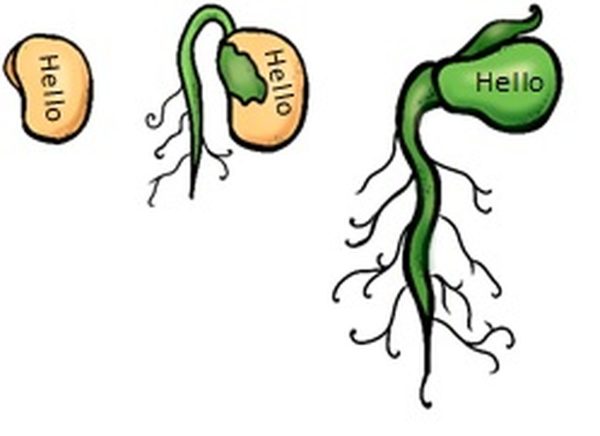 magic_bean_growing__56059-1415969685.jpg