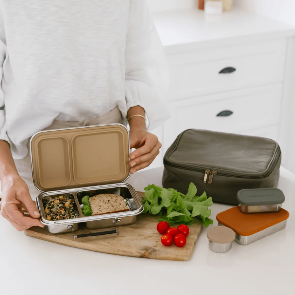 adult-bento_1024x1024.png